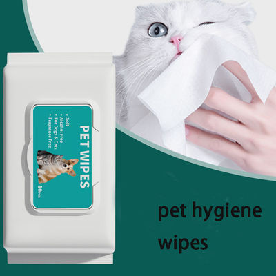 Harga yang bagus Flip Top Bag 80 Pet Wet Wipes Untuk Deodorisasi Dan Penghapusan noda Penggunaan rumah tangga Untuk pembersihan mendalam yang efektif on line